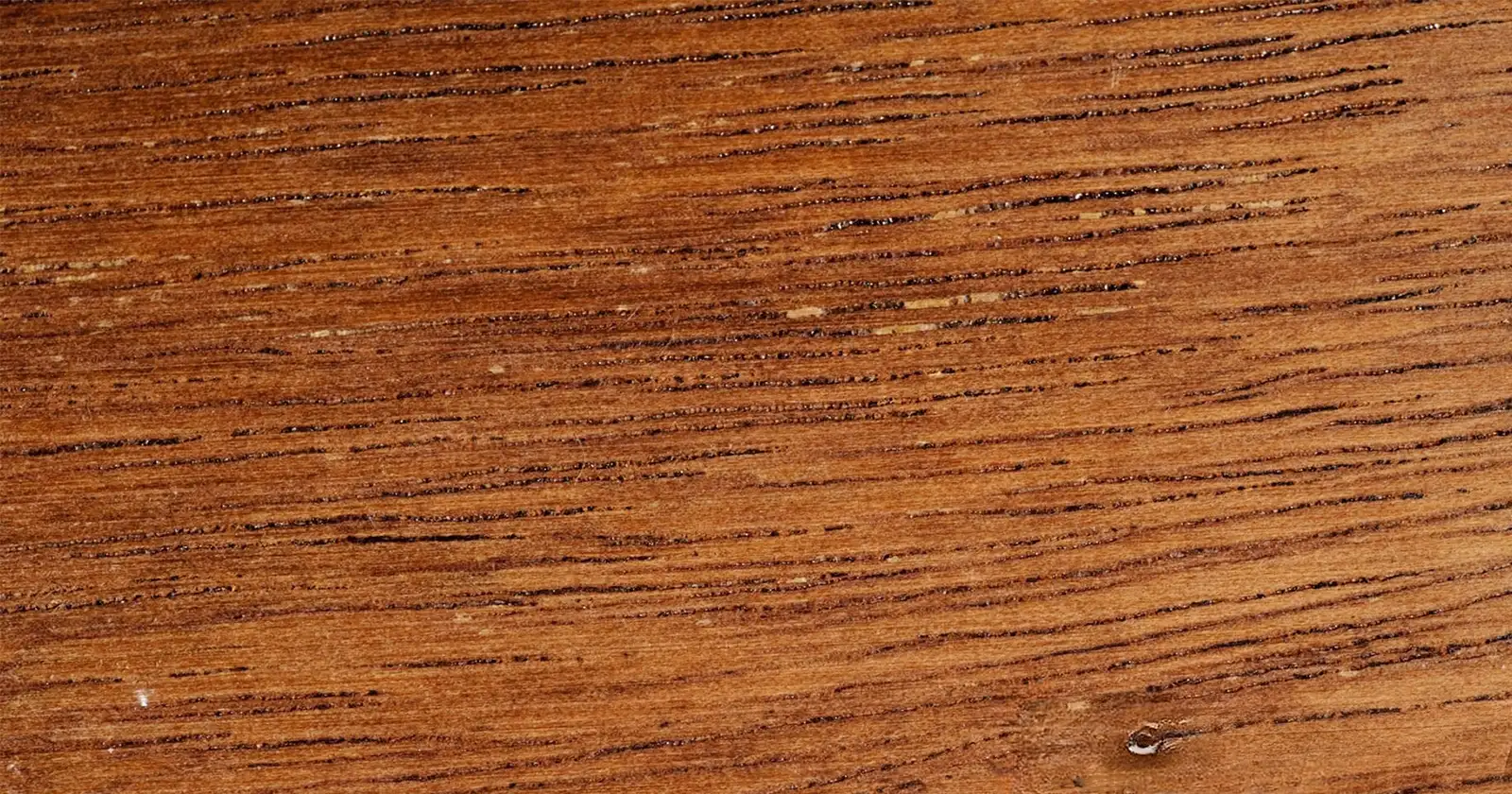 Kayu Merbau: Kuat, Stabil, dan Salah Satu Kayu Terbaik untuk Konstruksi dan Furniture