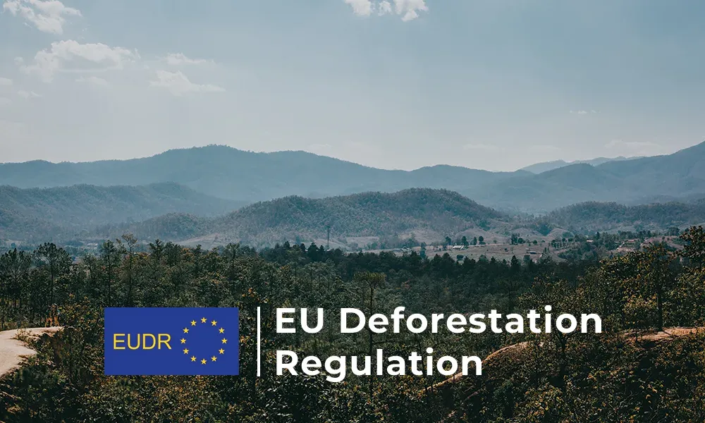 EUDR: Regulasi Deforestasi Uni Eropa yang Wajib Dipahami Pelaku Furniture & Ekspor Kayu