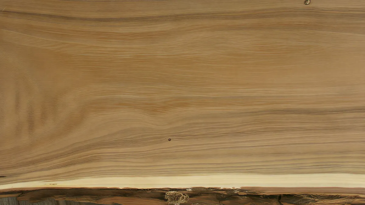 Kayu Robinia: Alternatif Jati dari Eropa yang Kuat dan Tahan Cuaca