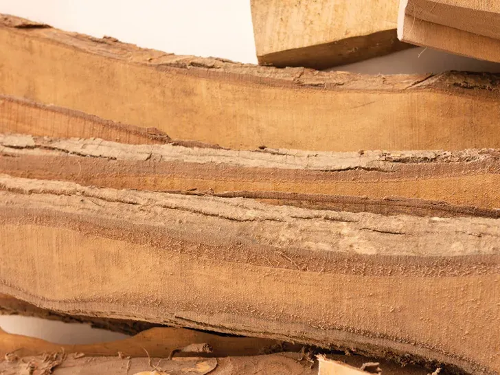 Kayu Jati: Standar Emas dalam Dunia Furniture dan Konstruksi Kayu