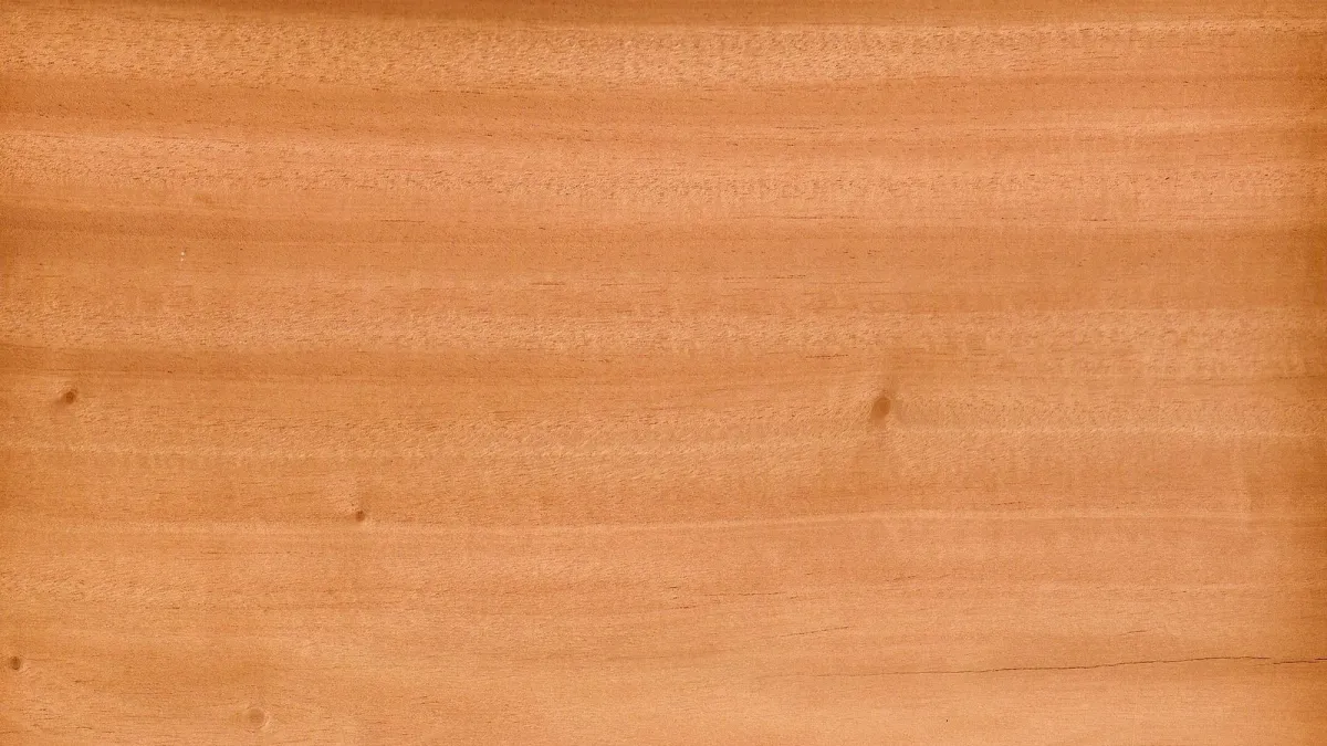 Kayu Mahoni: Alternatif Jati yang Lebih Terjangkau Tapi Tetap Berkualitas