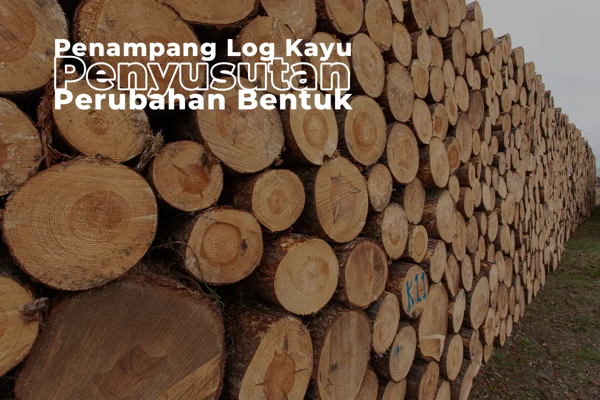 Penampang Log Kayu, Penyusutan, dan Perubahan Bentuk: Panduan Lengkap untuk Dunia Furniture