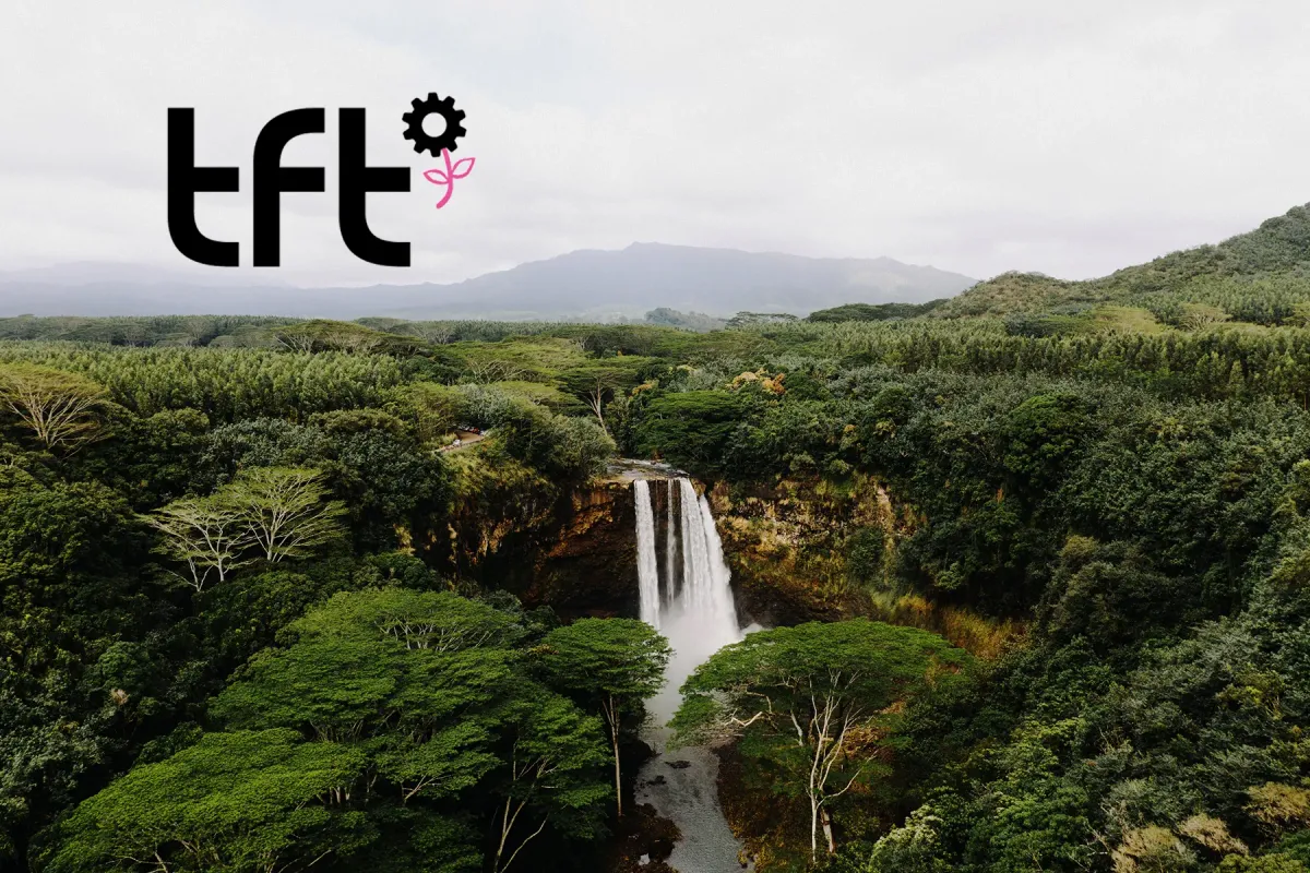 The Forest Trust (TFT): Organisasi di Balik Perubahan Industri Kayu dan Supply Chain Global