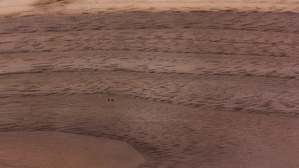 Kayu Black Walnut: Kayu Premium dengan Warna Gelap yang Ikonik