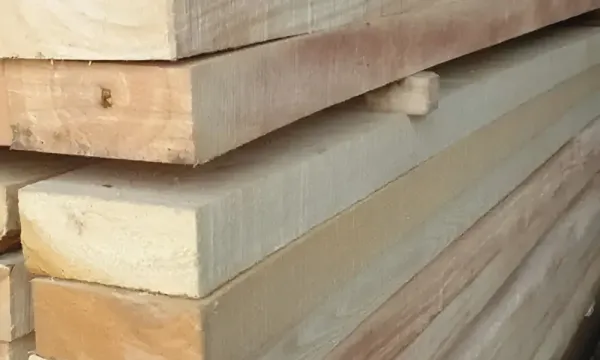 Kayu Sengon (Albizia falcataria): Karakter & Penggunaan Nyata di Industri