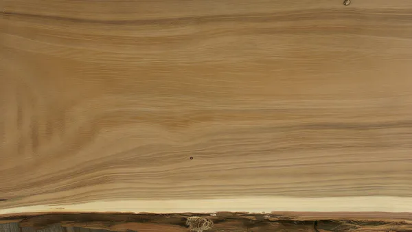 Kayu Robinia: Alternatif Jati dari Eropa yang Kuat dan Tahan Cuaca