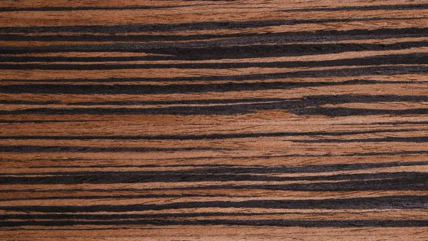 Kayu Ebony Makassar: Kayu Hitam Eksotis dengan Nilai Premium Tinggi