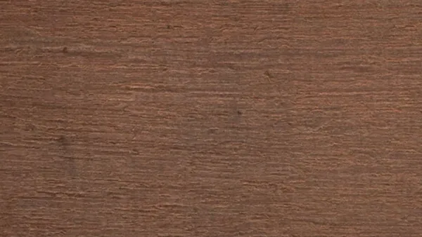 Kayu Keruing: Kuat, Berat, dan Andalan untuk Konstruksi dan Heavy Duty