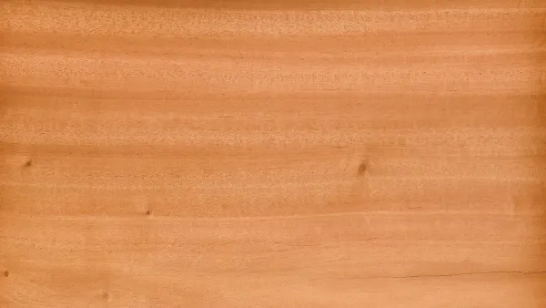 Kayu Mahoni: Alternatif Jati yang Lebih Terjangkau Tapi Tetap Berkualitas