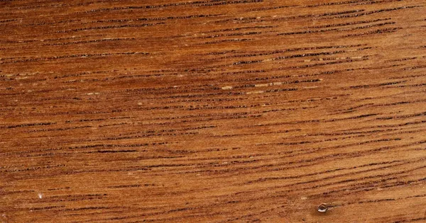 Kayu Merbau: Kuat, Stabil, dan Salah Satu Kayu Terbaik untuk Konstruksi dan Furniture