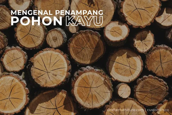 Penampang Pohon Kayu Bulat: Struktur, Fungsi, dan Cara Membacanya untuk Dunia Furniture