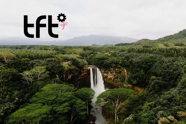 The Forest Trust (TFT): Organisasi di Balik Perubahan Industri Kayu dan Supply Chain Global