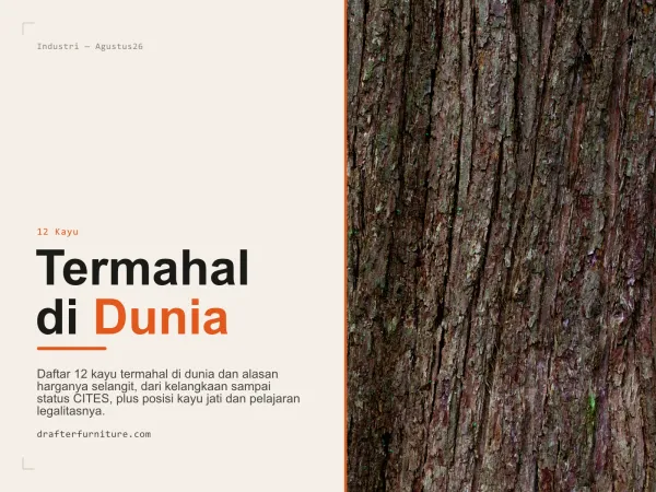 12 Kayu Termahal di Dunia, Jati Nomor Berapa?